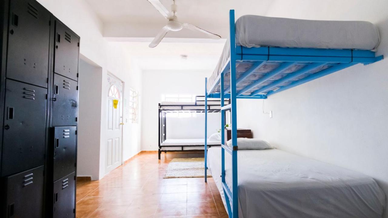 Weary Traveler Hostel Tulum Rum bild