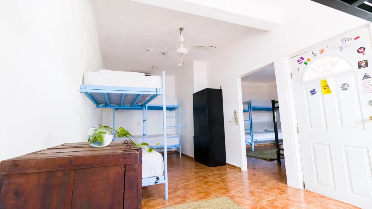 Weary Traveler Hostel Tulum Rum bild