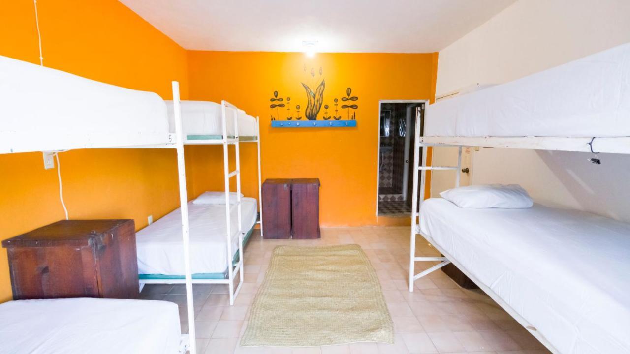 Weary Traveler Hostel Tulum Rum bild